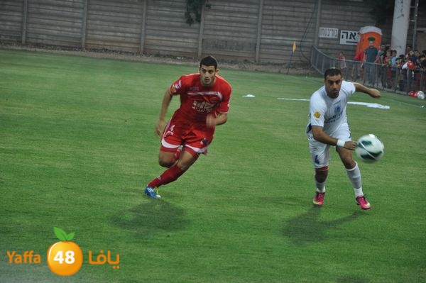 koraludn5478339 (9).JPG